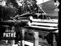 Australian Lumberjacks Dublin Issue 1942