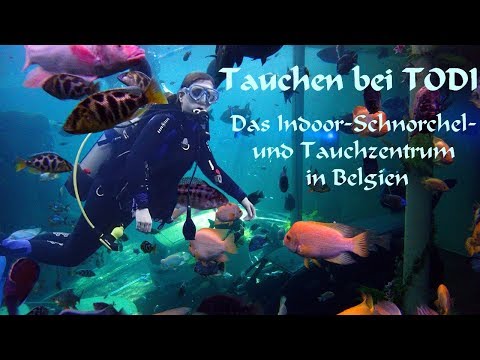 Tauchen bei TODI in Belgien [Indoor-Schnorchel- und Tauchzentrum]