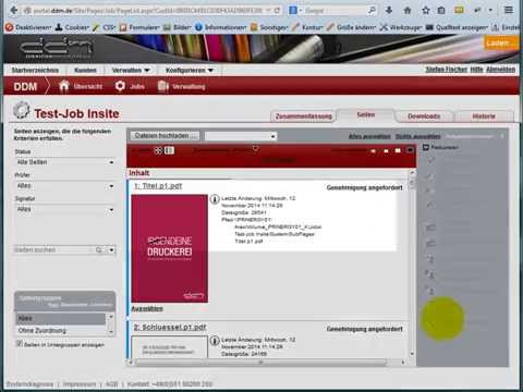 06. ddm-Insite Seiten ablehnen/austauschen