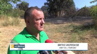 Голям пожар вилня в землището на димитровградското село Райново