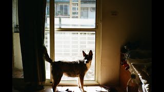 [音樂] wannasleep - 她不在乎