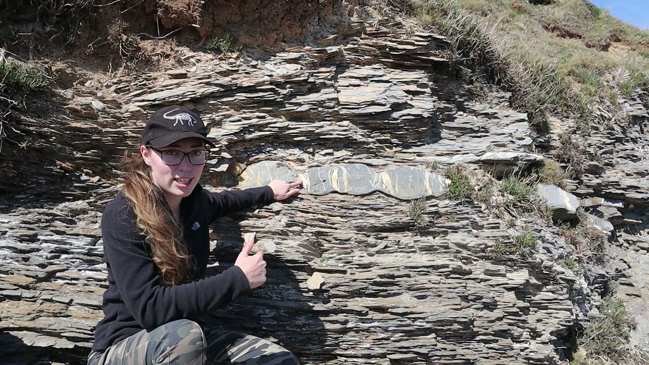 Amazing Example of Boudinage! UK Geology