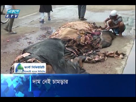 পশুর চামড়ায় সরকার নির্ধারিত দরও পাচ্ছে না ক্ষুদ্র ব্যবসায়ী | ETV News