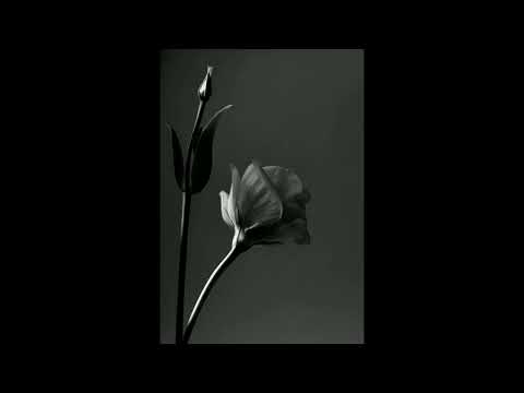 "Gehört mir" - Genetikk x OG Keemo | Type Beat | MoeNMQ