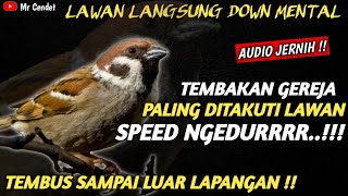 Download lagu MASTERAN MEWAH..!!!TEMBAKAN GEREJA TARUNG || SPEED NGEDURRRR..!!! mp3