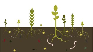 Best4Soil: Soil health – Practical Information