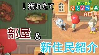 保存が不安なスズキと新たな推し「あつまれ どうぶつの森」実況【8日目】