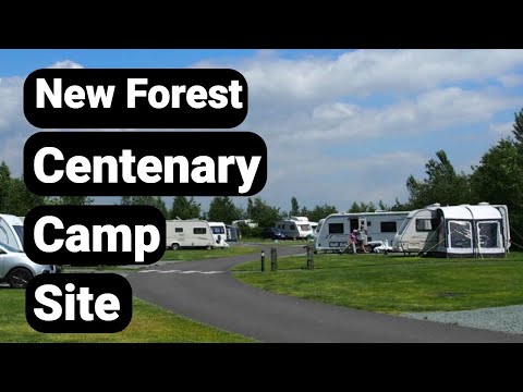 Centenary Camp Site Newforest with the family in the Campervan
