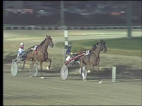 Trotto 05/02/2017 - 7ª corsa - TRIS