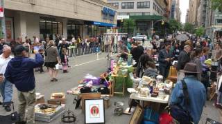 Queen of Eyes (Soft Boys Cover)