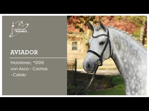 Aviador Dezember 2022 in Riesenbeck