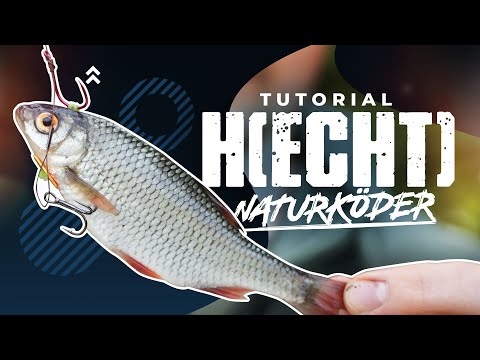 REAL PIKE CATCHES - Successful fishing with a baitfish system | Construction instructions