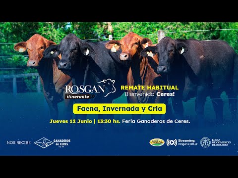 Rosgan Itinerante - 12 de Junio 2025 - 13:30hs (Ceres, SF)