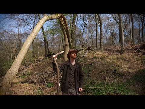 Tolkien Memorised - Sing all ye joyful (ORIGINAL)