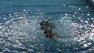 Dolphin cards Championnats de France N3 Performance Junior Lyon 2013 Equipe Marseille Dolfin