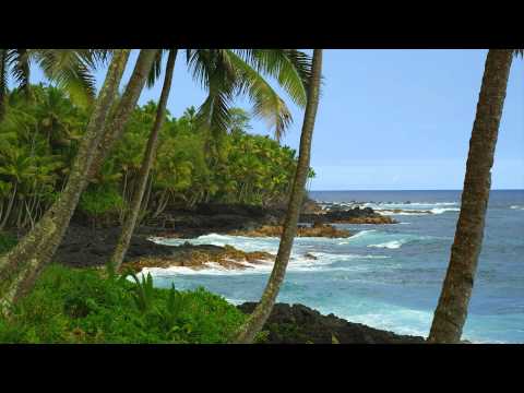 Hawaiian Waves Video & Alarm Video