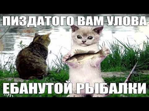 микс мэшапов гивмишайна (pt. 2)