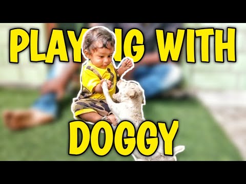 Dhruva playing with puppy | His new friend | Nila Nataraj