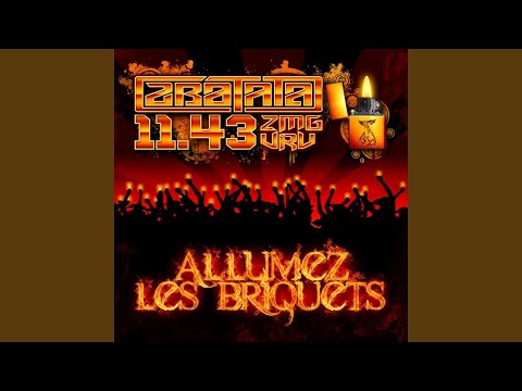 Allumez les briquets (Vrais Reconnaissent Vrais) (feat. 11.43)