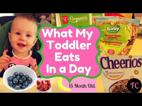 WHAT MY 15 Month TODDLER EATS IN A DAY #iamacreator #toddlermeals #routine