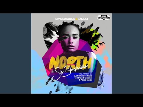 North (Enoo Napa Travellerz Remix)