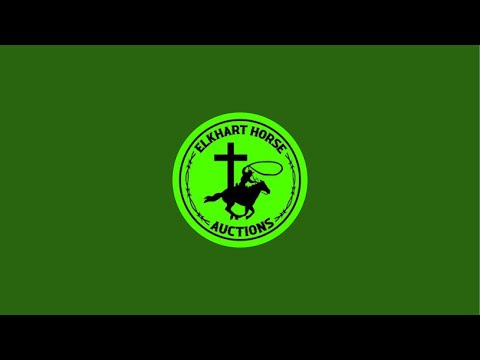 Horse sale 2-7-26!