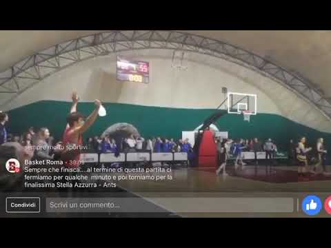 Susanna Costa Bull Basket