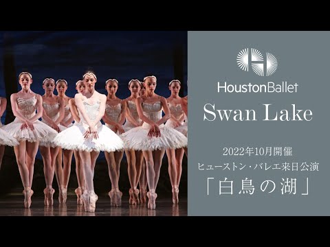 「兄はずっと変わらず尊敬するダンサー」アクリ瑠嘉×アクリ士門、初の兄弟インタビュー の動画・映像 - ぴあエンタメ情報