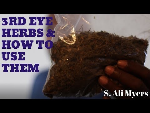 My Best Herbs for the 3rd Eye & How to Use Them (Increase Dream Recall and Psychic Abilities)