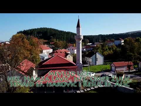 Najava - Mevlud Bašagić