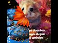 Buongiorno Buon Giovedì