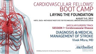 Download Lagu Diagnosis u0026 Medical Management of Stroke (Vivek Misra, MD) Thumbnail