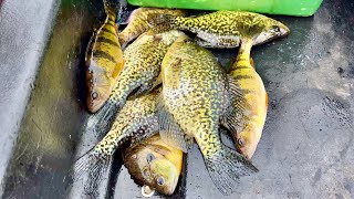 Ice Fishing for a Wisconsin Fish Fry!