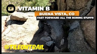 Vitamin B