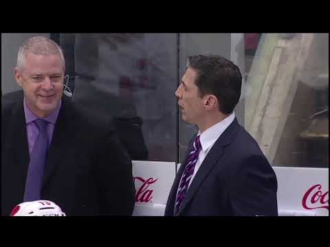 Full Incident: David Ayres comes in as an Emergency Goalie for the Canes