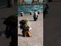 yo ho a pirates life for me | lego pirates of the caribbean