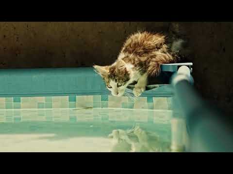 😻MAURO MATANDO A SEDE😎