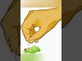 Why Do We Have One Rib Less On Left Side Why Was Eve Made Out Of Adam S Rib Why Not Any Other Part