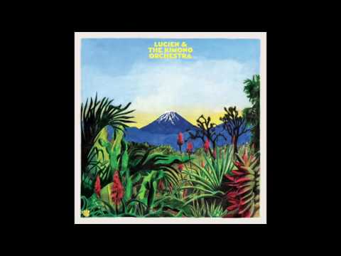 Lucien & The Kimono Orchestra - Ship (feat. FM Laeti)