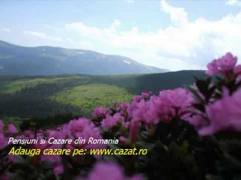 Cazare Cheia, Brasov - Cazat.ro