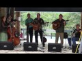 Hickory Wind - Freeborn Man
