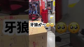パチ屋店員あるある　台運び調子に乗る奴