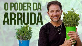 ARRUDA - OS EFEITOS DA ERVA DA SORTE E PROTEÇÃO | com Daniel Atalla