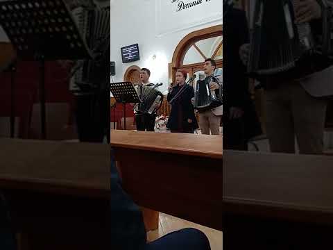 Sus e o țară  grupul de tineri Baia Mare