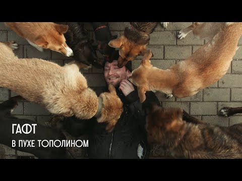 Video thumbnail for в пухе тополином (in poplar fluff)