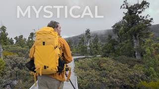 Photographing One of Australia's Rarest Trees (The Conditions Were Insane)