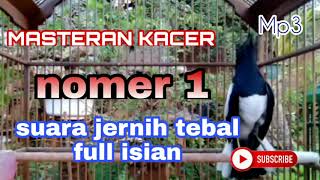Download lagu MASTERAN KACER SUARA JERNIH TEBAL FULL ISIAN GACOR SIANG MALAM mp3 Download lagu MASTERAN KACER SUARA JERNIH TEBAL FULL ISIAN GACOR SIANG MALAM mp3