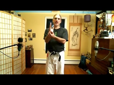 Catonsville Seido Karate: On-line classes orientation and welcome