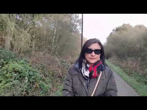 Het Broek Blaasveld (Willebroek, Belgium)