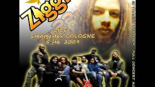 Ziggi Recado Live - Don&#39;t get down [Venybzz]